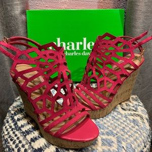 Charles David Apollo